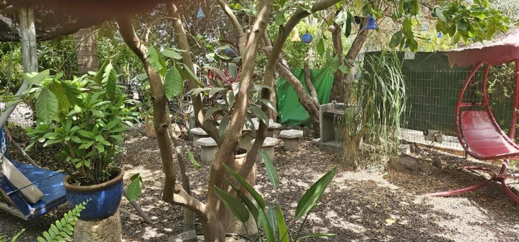 נופש דביר - סוויטות מהממות ובקתה כפרית עם ג'קוזי ליד הכנרת - יש מקלט צמוד Βίλα Migdal Δωμάτιο φωτογραφία
